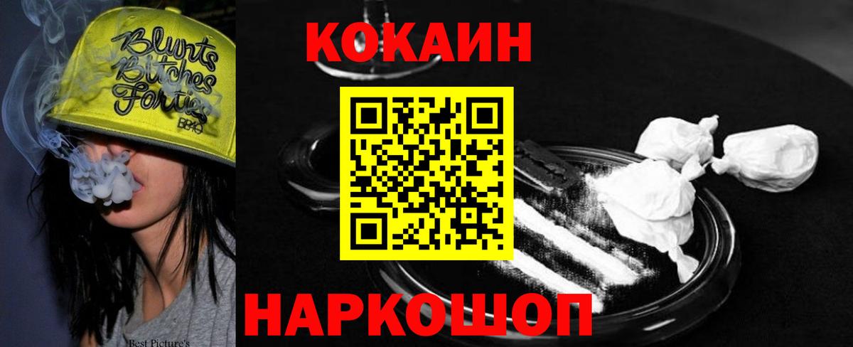 COCAIN Columbia Геленджик