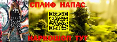 эйфоретик Кимры