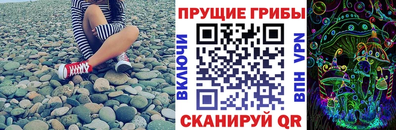 Галлюциногенные грибы Psilocybine cubensis  продажа наркотиков  Геленджик 