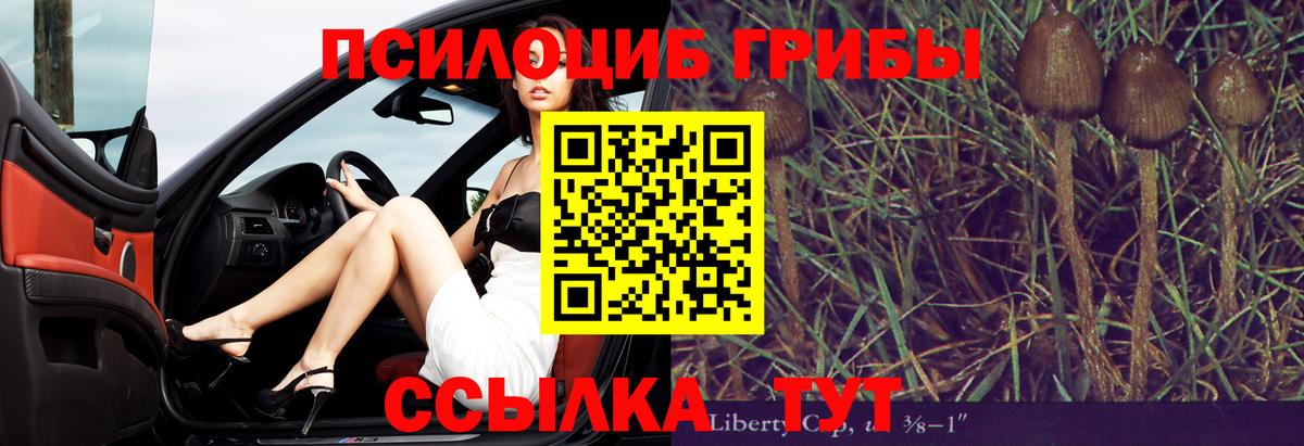 купить   Геленджик  Псилоцибиновые грибы мухоморы 