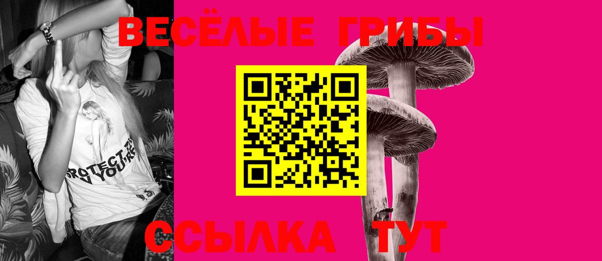 Галлюциногенные грибы GOLDEN TEACHER Геленджик