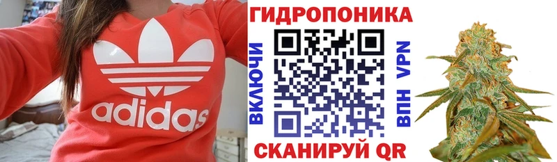 Конопля индика что такое Геленджик